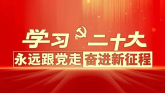 坚定不移全面从严治党(认真学习宣传贯彻党的二十大精神)